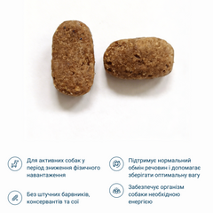 Сухий корм для дорослих собак, 20 кг (23/9,5)