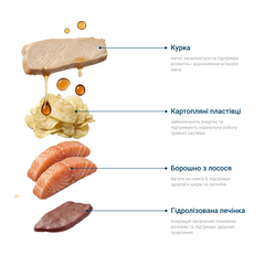 Сухий корм для цуценят з лососем, 10 кг