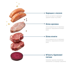 Сухий корм для собак малих порід
