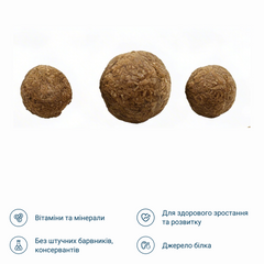 Сухий корм для молодих котів зі смаком птиці