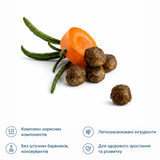 Сухий корм для кошенят зі смаком м'яса птиці
