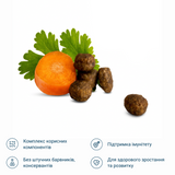 Сухий корм для молодих котів зі смаком м'яса птиці