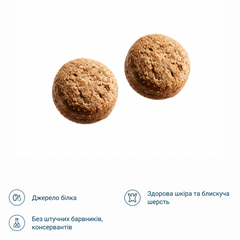 Сухий корм зі смаком атлантичного лосося