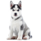 Чи підходить Happy Dog для цуценят і молодих собак? icon