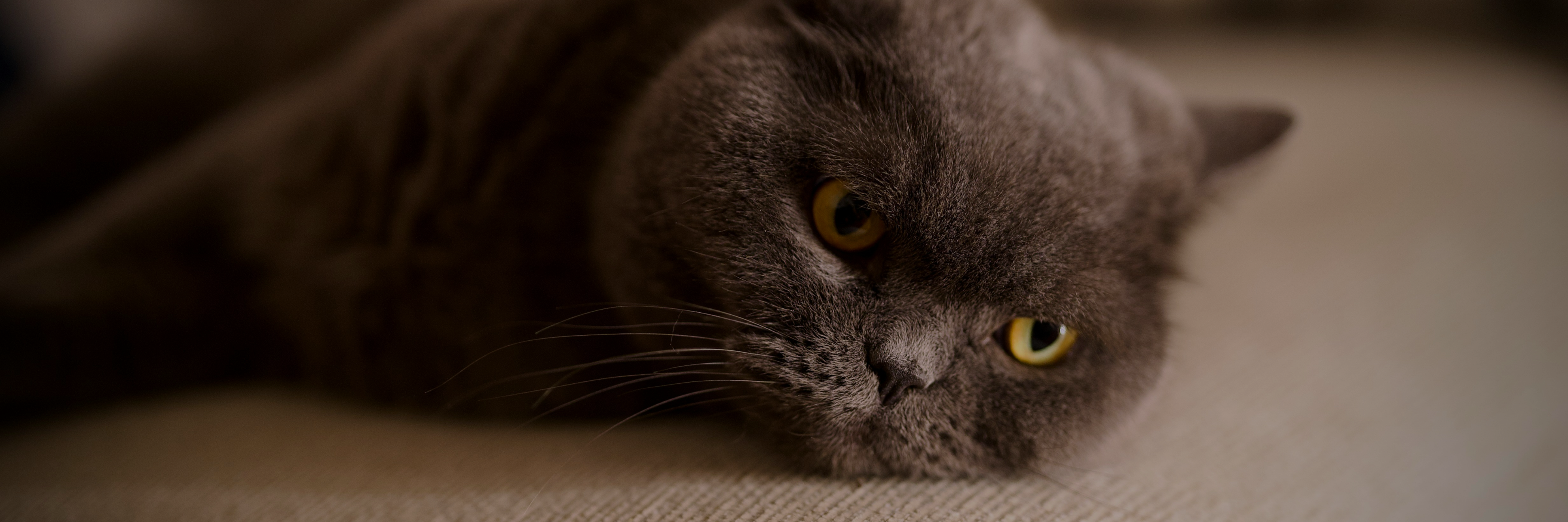 ПОЛІТИКА КОНФІДЕНЦІЙНОСТІ