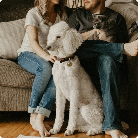 @happydog-petfood image
